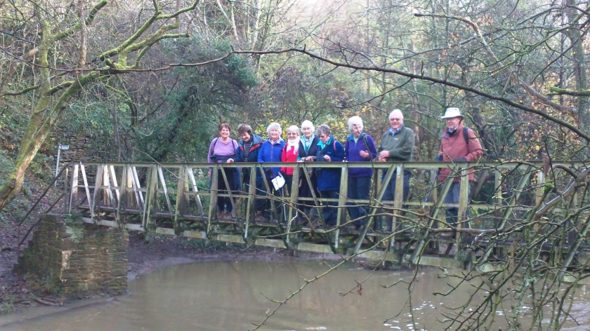 Group of 9 happily posing on woodland bridge during the walk