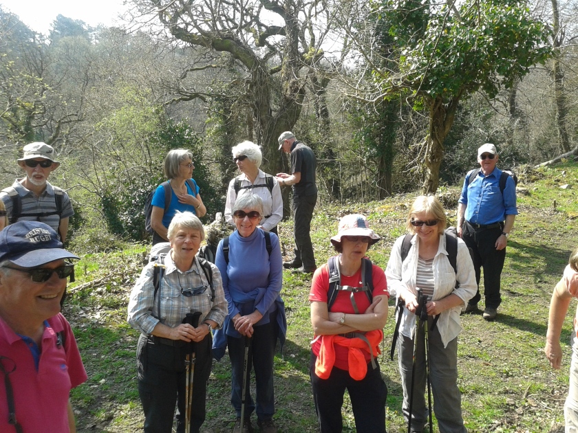 Group about to set off after their lunch stop in Leigh Woods