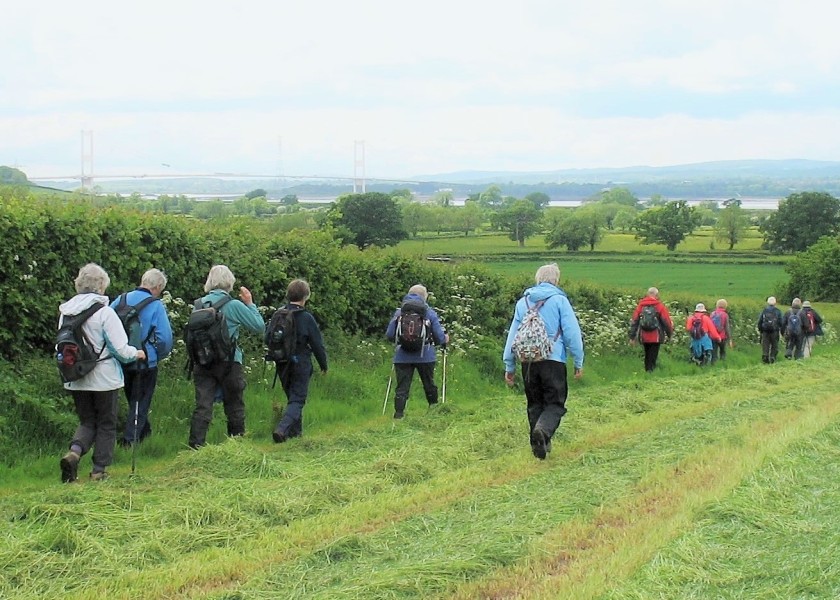 Group proceeding in Indian file past newly mown field on way back into Littleton.